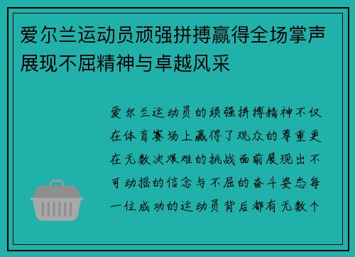 爱尔兰运动员顽强拼搏赢得全场掌声展现不屈精神与卓越风采