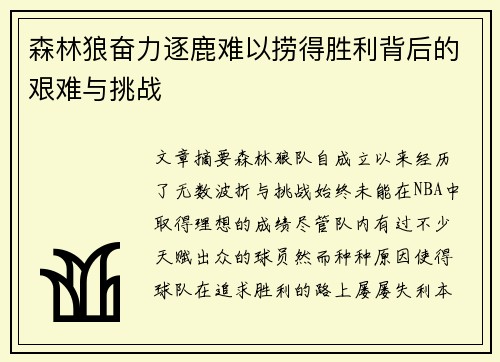 森林狼奋力逐鹿难以捞得胜利背后的艰难与挑战