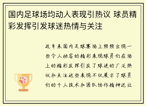 国内足球场均动人表现引热议 球员精彩发挥引发球迷热情与关注
